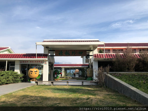 圓圓家出去玩-《台中景點》高山櫻花風吹雪，浪漫粉紅《千櫻園》追櫻花不用去日本，福壽山農場櫻花滿開囉