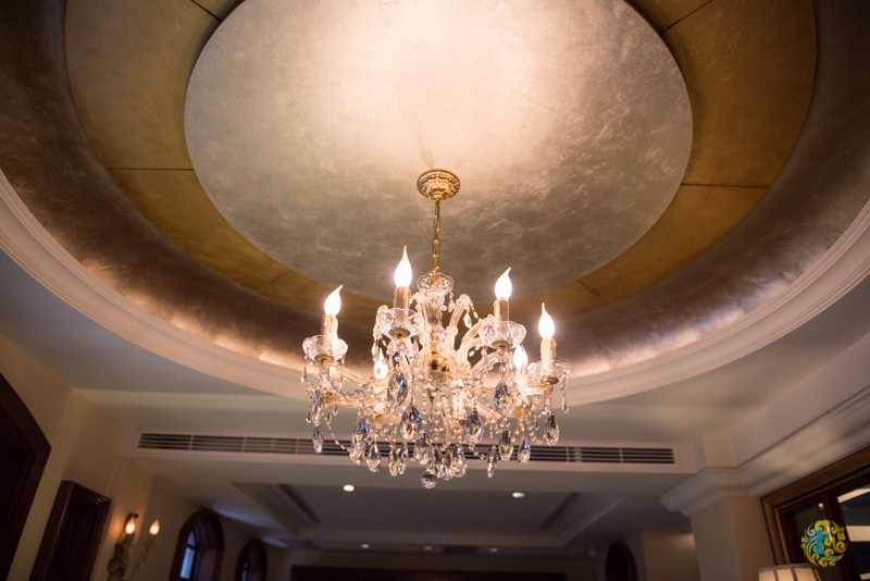 DSC_0446.jpg DSC_0446.jpg