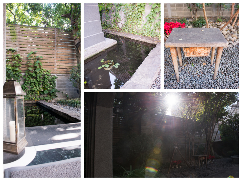 DSC_0450_Fotor_Collage.jpg DSC_0450_Fotor_Collage.jpg