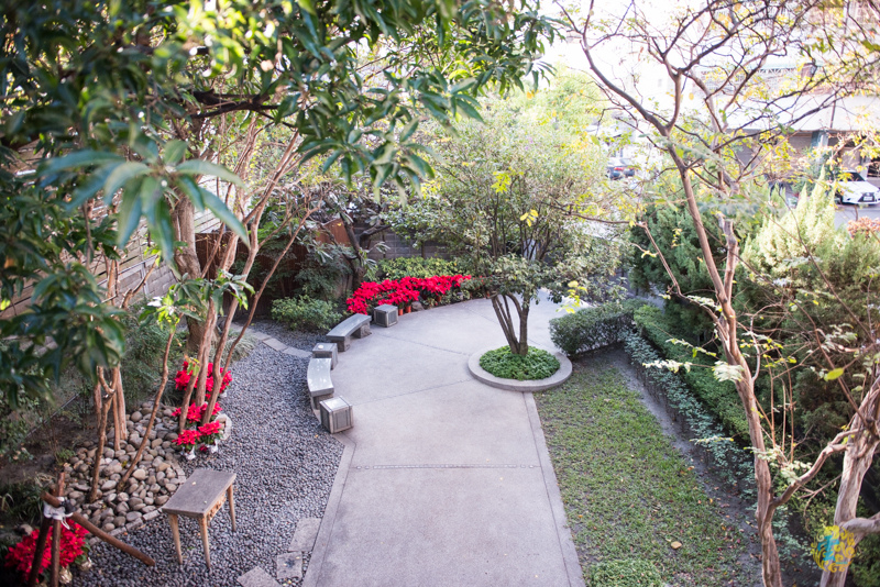 DSC_0465.jpg DSC_0465.jpg