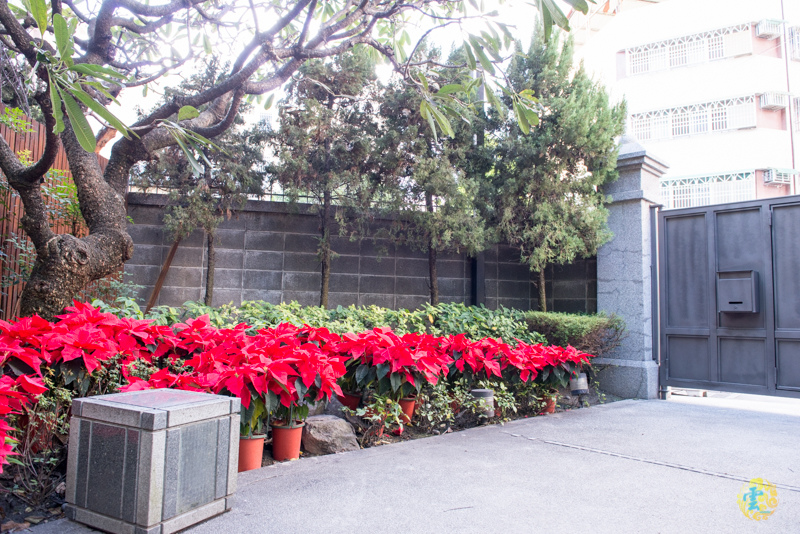 DSC_0451.jpg DSC_0451.jpg