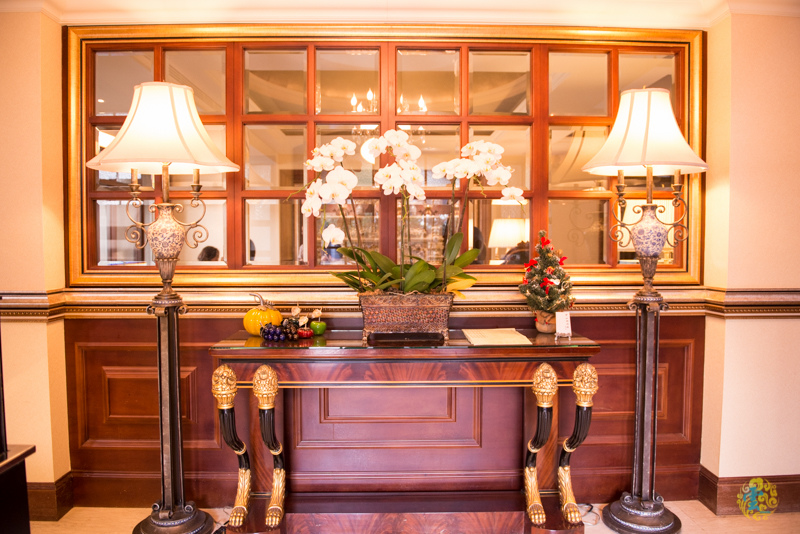 DSC_0461.jpg DSC_0461.jpg