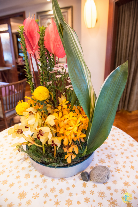 DSC_0494.jpg DSC_0494.jpg