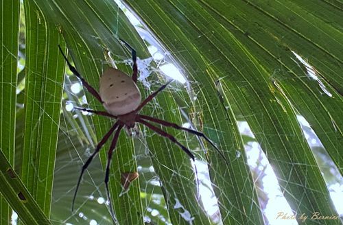 0705 天溪園24.jpg