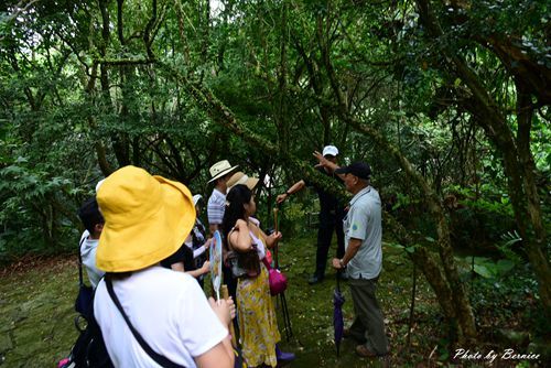 0705 天溪園11.jpg