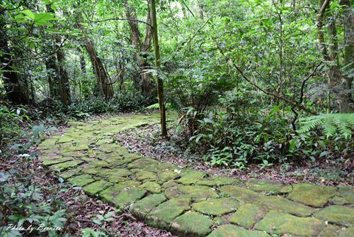 0705 天溪園19.jpg