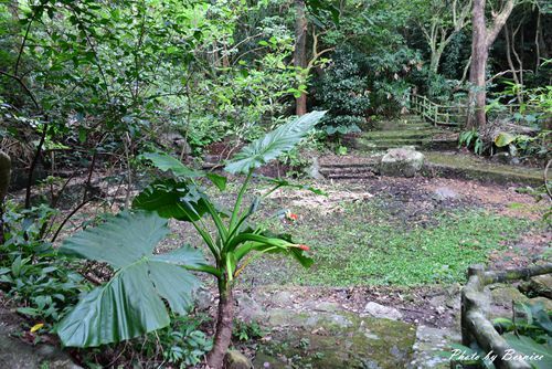 0705 天溪園15.jpg