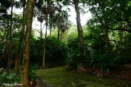 0705 天溪園16.jpg