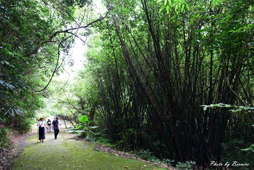 0705 天溪園21.jpg