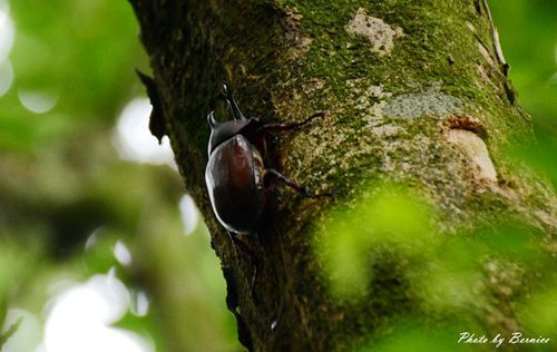 0705 天溪園13.jpg