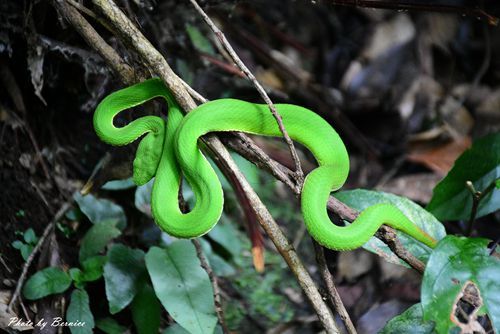 0705 天溪園20.jpg