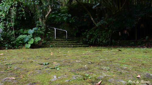 0705 天溪園07.jpg