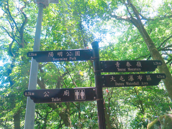 大屯瀑布 (15).JPG