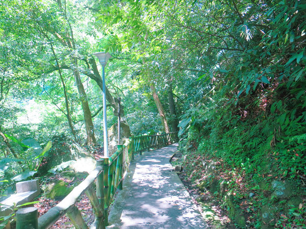 大屯瀑布 (14).JPG