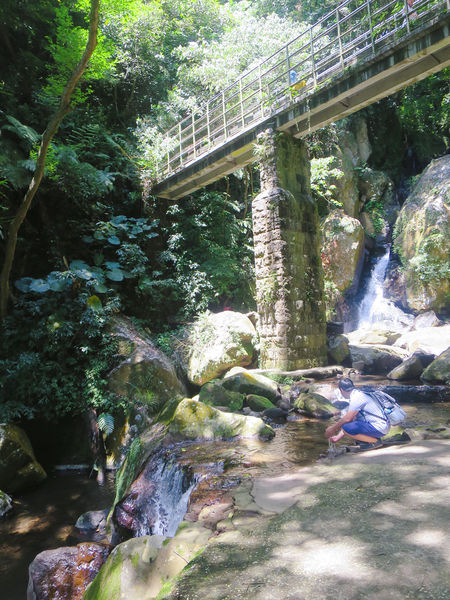 大屯瀑布 (21).JPG