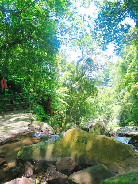 大屯瀑布 (2).JPG