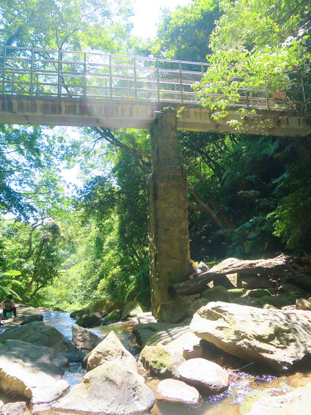 大屯瀑布 (41).JPG