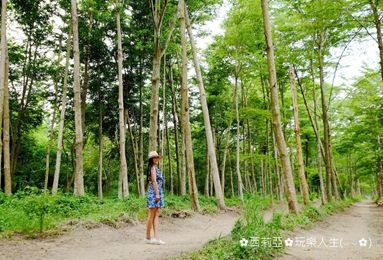 1503474998-2708541328_l.jpg 1503474998-2708541328_l.jpg