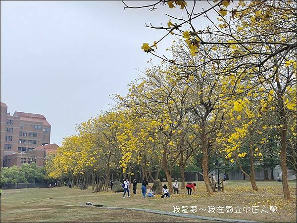國立中正大學21.jpg