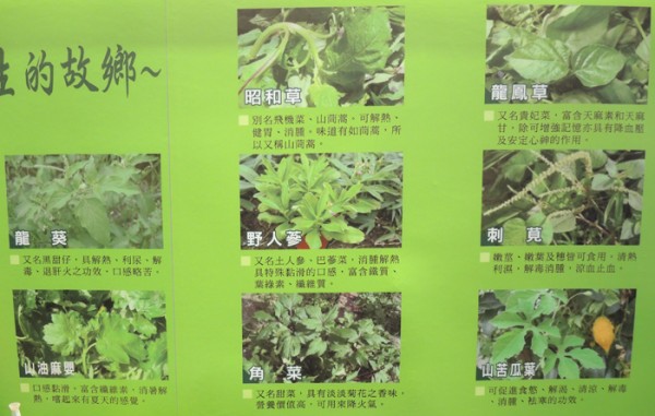台北南京三民)櫻之田野養生野菜鍋(台北店)-吃火鍋也能看蓮花秀,回訪率100%