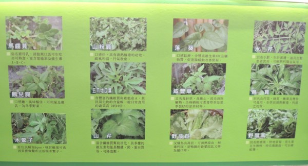 台北南京三民)櫻之田野養生野菜鍋(台北店)-吃火鍋也能看蓮花秀,回訪率100%