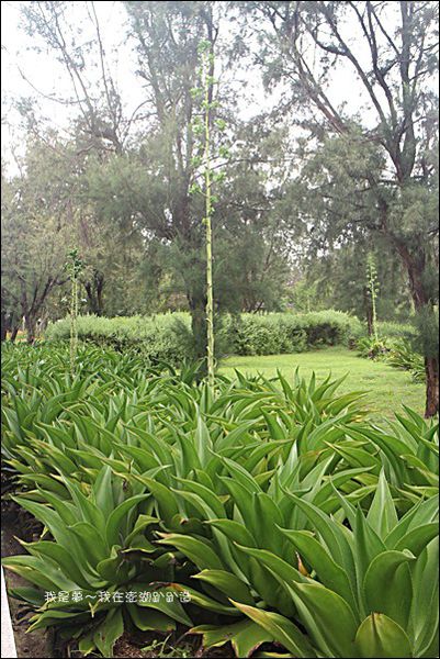 澎湖四天之旅15.jpg 澎湖四天之旅15.jpg