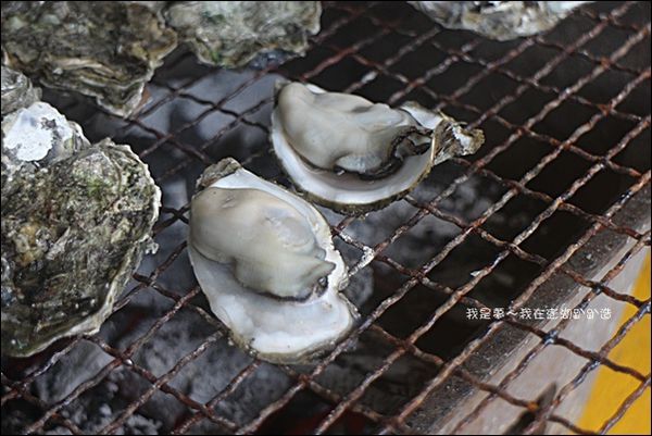 澎湖四天之旅07.jpg 澎湖四天之旅07.jpg