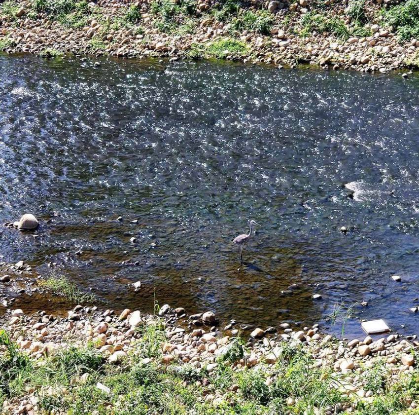 三民運動公園 青溪橋下