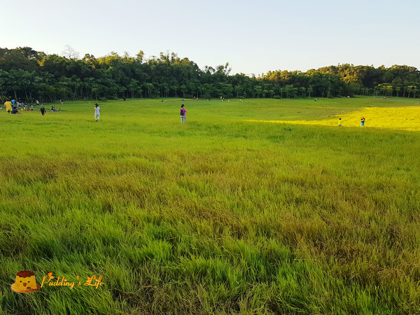 nEO_IMG_20160731_174807