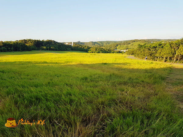 nEO_IMG_20160731_173924