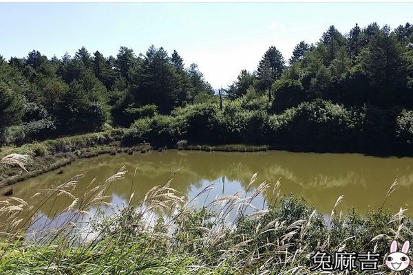 大雪山小雪山 (18).jpg 大雪山小雪山 (18).jpg