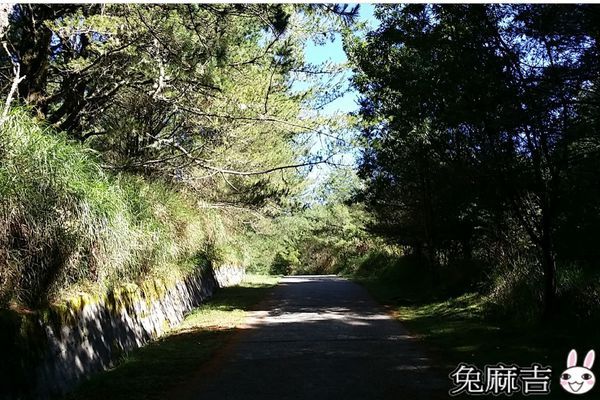 大雪山小雪山 (16).jpg 大雪山小雪山 (16).jpg