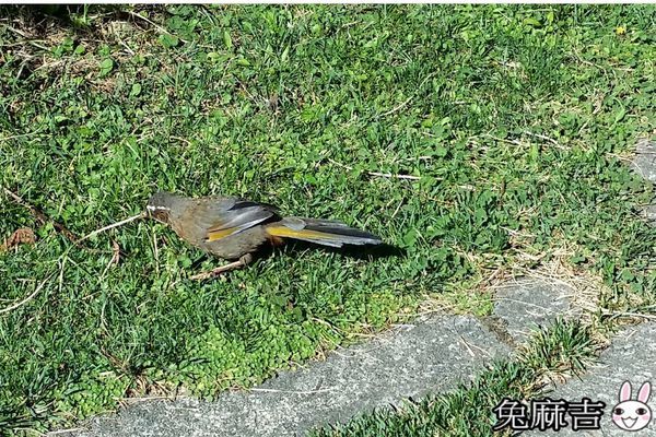 大雪山小雪山 (17).jpg 大雪山小雪山 (17).jpg