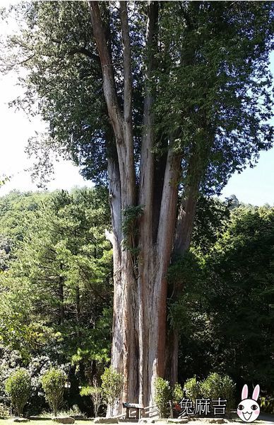 大雪山小雪山 (21).jpg 大雪山小雪山 (21).jpg