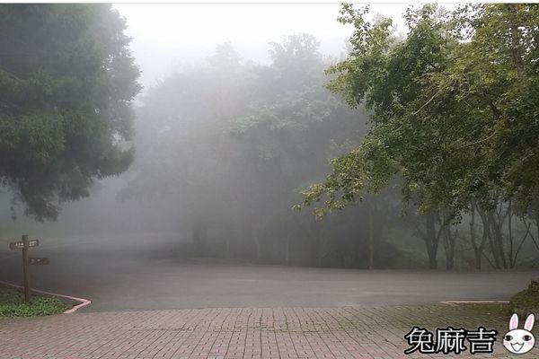 大雪山小雪山 (27).jpg 大雪山小雪山 (27).jpg