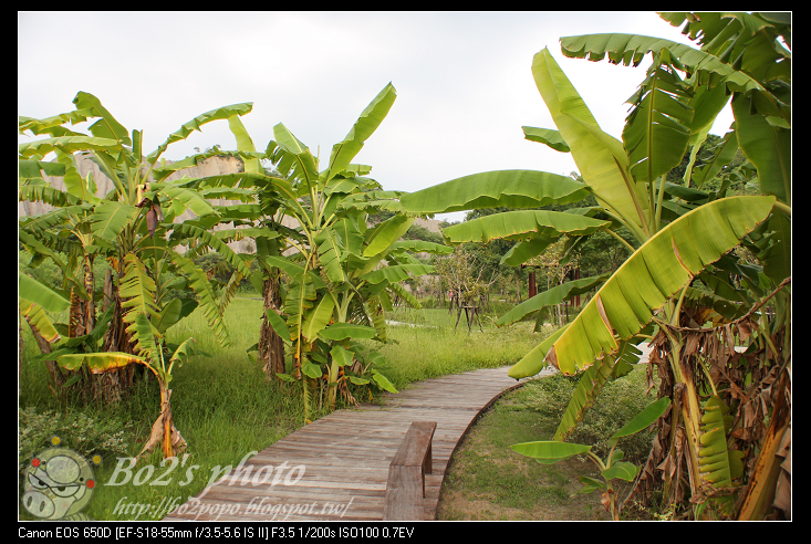 高雄.田寮-月世界特殊惡地形+泥火山