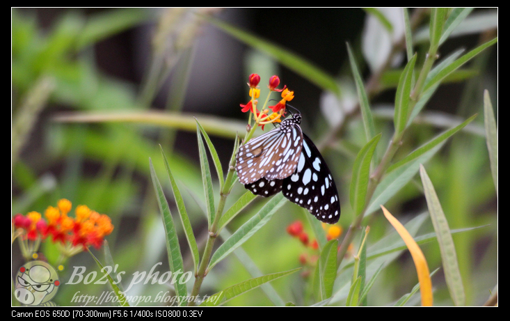高雄.田寮-月世界特殊惡地形+泥火山