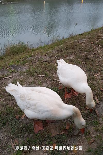 【高雄/田寮區】月世界地景公園