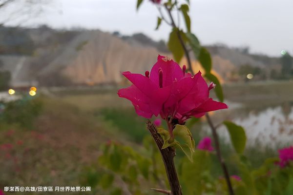 【高雄/田寮區】月世界地景公園