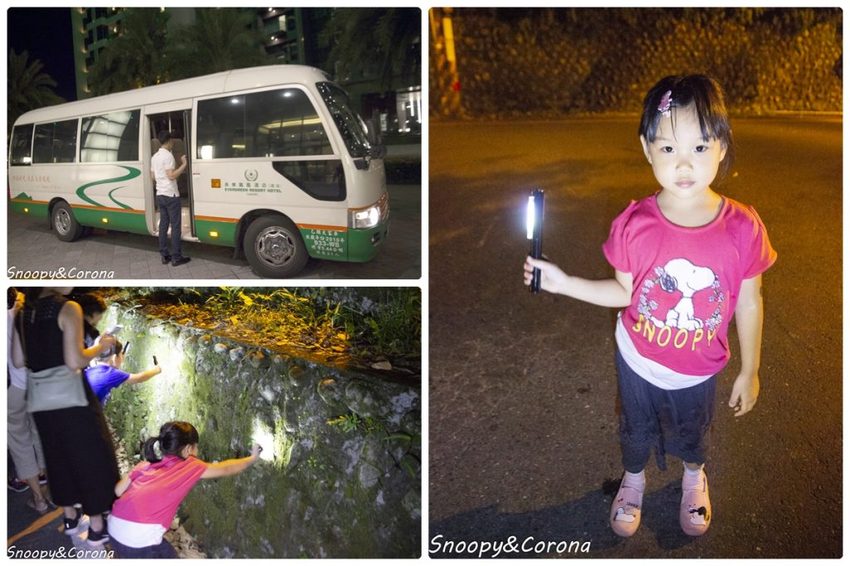 【住宿．宜蘭】礁溪長榮鳳凰酒店～2018秋季住房專案／秋逗．夜遊．泰精彩。1500坪親水空間、多元遊樂設施，輕鬆度假享受悠閒