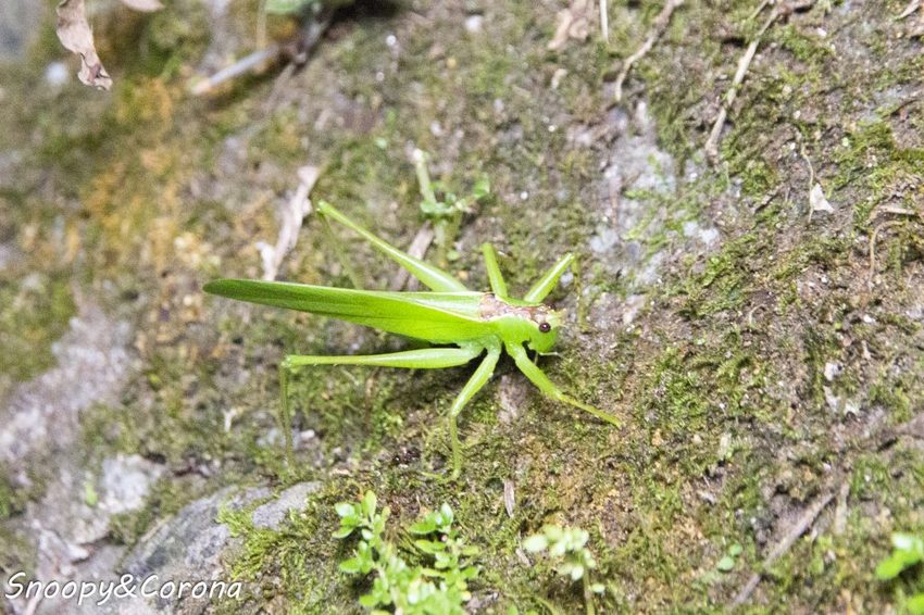 【住宿．宜蘭】礁溪長榮鳳凰酒店～2018秋季住房專案／秋逗．夜遊．泰精彩。1500坪親水空間、多元遊樂設施，輕鬆度假享受悠閒