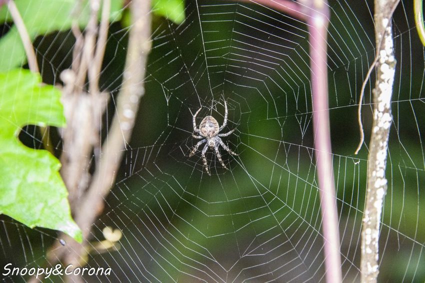 【住宿．宜蘭】礁溪長榮鳳凰酒店～2018秋季住房專案／秋逗．夜遊．泰精彩。1500坪親水空間、多元遊樂設施，輕鬆度假享受悠閒