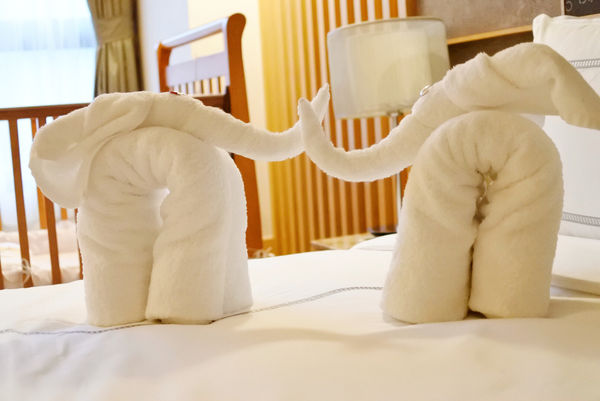 2017-11-24 192941.jpg