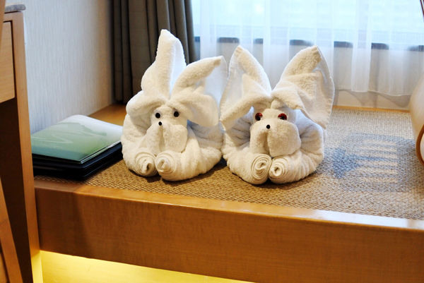 2017-11-24 175056.jpg