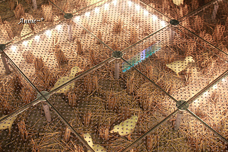 【親子旅遊】宜蘭。蘭陽博物館