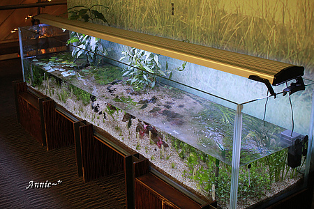 【親子旅遊】宜蘭。蘭陽博物館