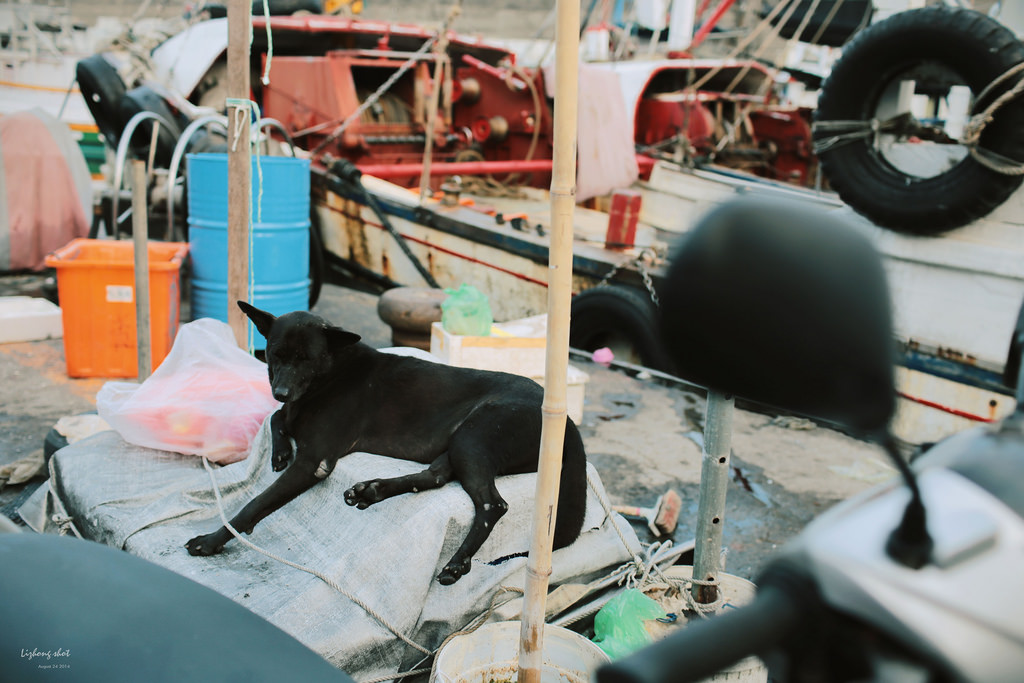 那個宜蘭半日悠遊 那個宜蘭半日悠遊