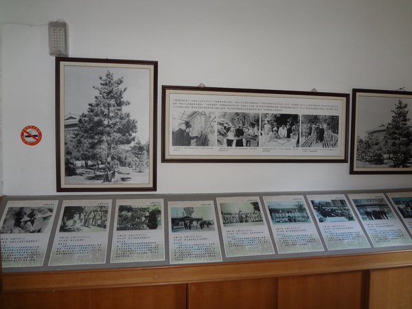 cm20130929___55eb82d3415f4e6a9728f36d921