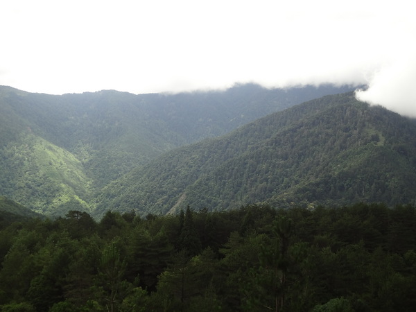 cm20130929___ed55cf2e211c044c9ee7381d2a0