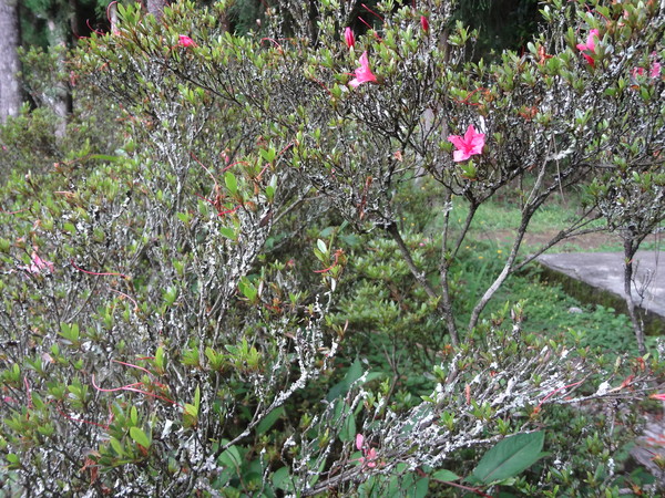 cm20130929___6e9129b5d09cdf32ce3587df202